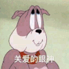 关爱的眼神 猫和老鼠 斗图 搞笑 可爱 萌萌哒