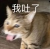 萌宠 喵星人 我吐了 呕 呆萌 搞怪