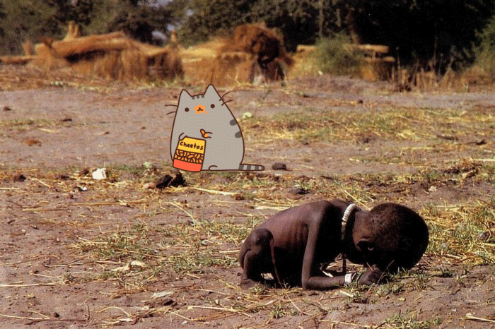 龙猫 黑人 孩子 饥饿