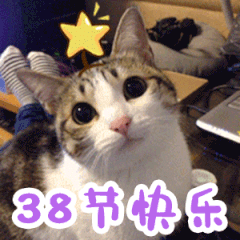 萌宠 猫星人 38节快乐 祝福 搞怪 逗