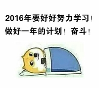 狗狗 躺着 计划 做好一年计划奋斗