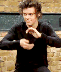 路易斯汤姆林森 directioner 哈里·斯泰尔斯 尼尔霍兰 Directioners 利亚姆·佩恩 哈里 赞恩·马里克 拉里 1D 一个方向 乐趣 拉里stylinson