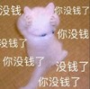 萌宠 喵星人 没钱 你没钱了 可爱 呆萌