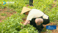 放开我北鼻 大新哥