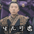 大军师司马懿之军师联盟 生无可恋