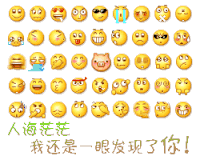 猪 一眼发现你 表情 闪亮