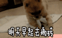 搬砖 明天早起去搬砖