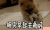 搬砖 明天早起去搬砖