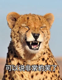 可以说非常搞笑了