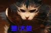 喵星人 是！大佬
