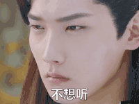 双世宠妃 不想听 soogif soogif出品