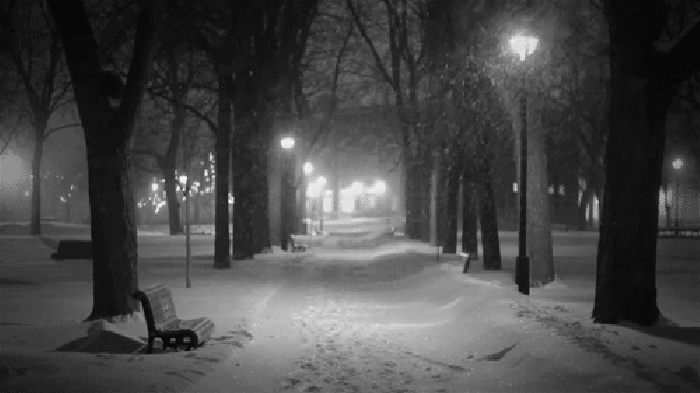 下雪 树木 灯光 黑白