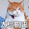 猫 萌宠 喵星人 大写的丧 伤心 soogif sooguf出品