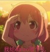 我给 dalao 敬个礼 可爱