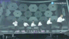 EXO 舞台 跳舞 跳跃