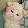 萌宠 猫星人 试图撒娇 害羞 呆萌 可爱