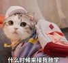 萌宠 猫星人 你什么时候来接我放学 你人呢 呆萌 可爱