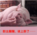 玩 猪 嘴巴 卡通 设计