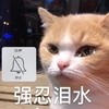萌宠 猫星人 强忍泪水 不哭 呆萌 可爱