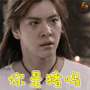 帅哥 你是猪吗 soogif soogif出品