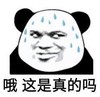 暴漫 熊猫头 哦 这是真的吗 冒汗 搞怪 逗