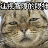 萌宠 猫 猫咪 喵星人 智障 眼神