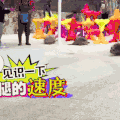 萌宠 速度 可爱 卖萌