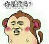 搞笑 魔性 张学友 你是猴吗,