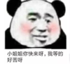 暴漫 文字表情包 小姐姐你快来啊我等的好苦啊 搞笑 沙雕 逗
