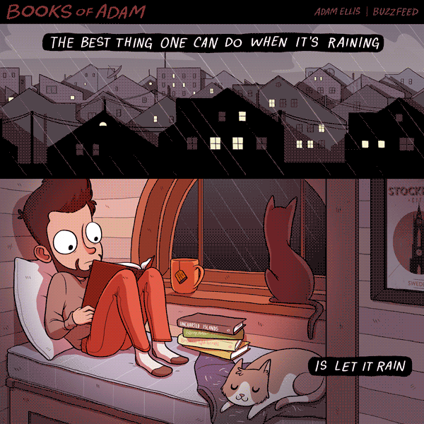 人物 看书 窗外 猫咪