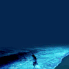 海边  沙滩  夜景   唯美