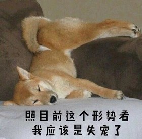 萌宠 汪星人 柴犬 文字表情包 逗