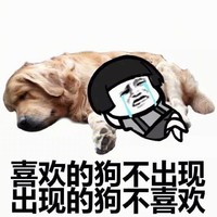 金馆长 狗狗 喜欢的狗 不出现 出现的狗 不喜欢