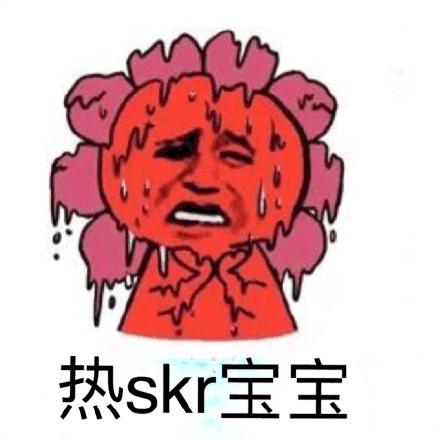 skr 熱skr人