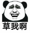 熊猫人 坏人 恶搞 草我啊