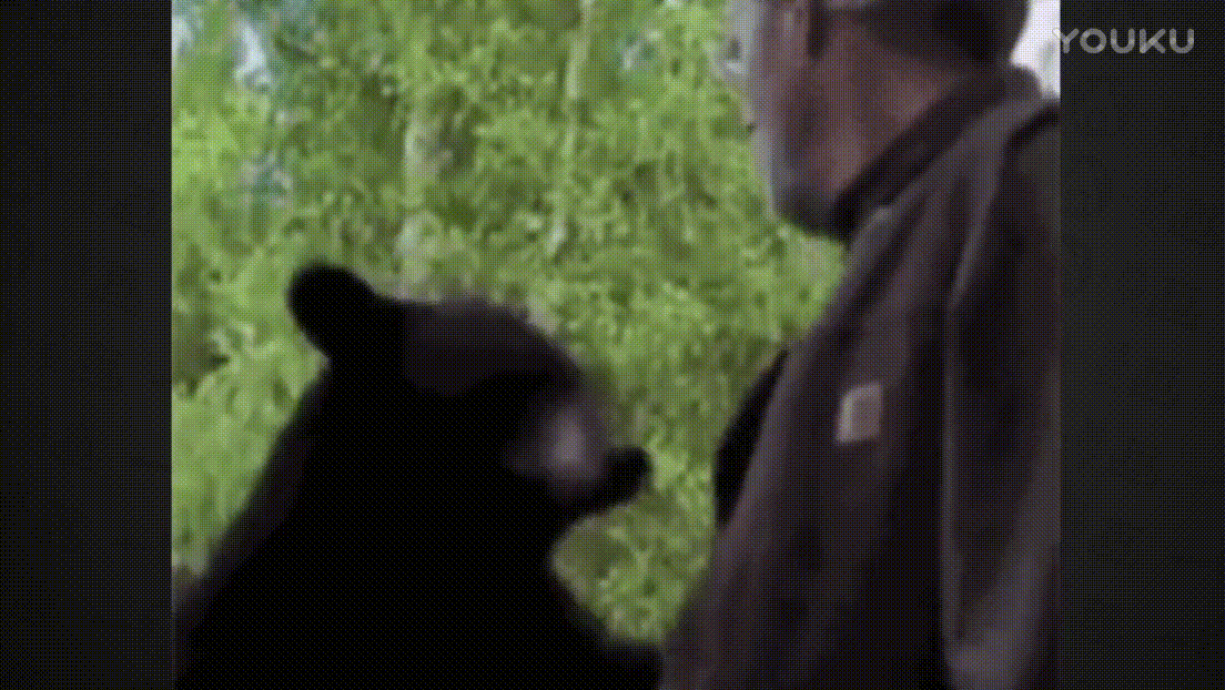 男人 黑熊 打拳 还击
