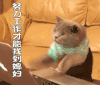 下半年