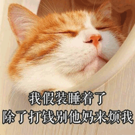 假装 打钱 烦 猫