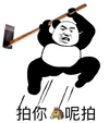 暴漫 文字表情包 拍你马呢拍 搞笑 逗 魔性