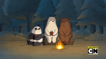 咱们裸熊 白熊 棕熊 熊猫