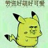 比卡丘 卖萌 逗比 劳资好萌好可爱