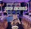喵星人 萌宠 搞笑 可爱 文字表情包