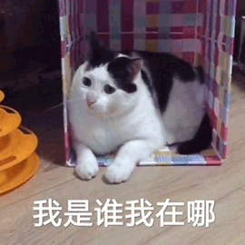 我是谁