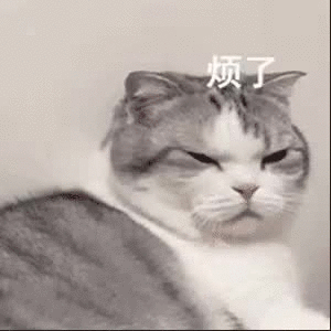 微信动图素材_公众号动图素材_96微信编辑器