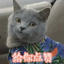 给你点赞