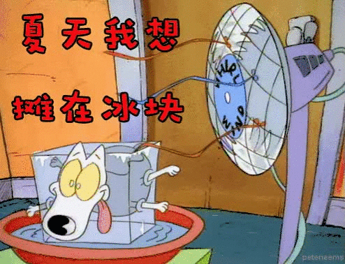 夏天来了