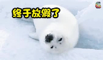 ڷż
