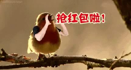 抢红包 