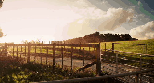 新西兰 栅栏 牧场 白云 纪录片 阳光 风景