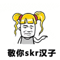 skr 敬你skr汉子